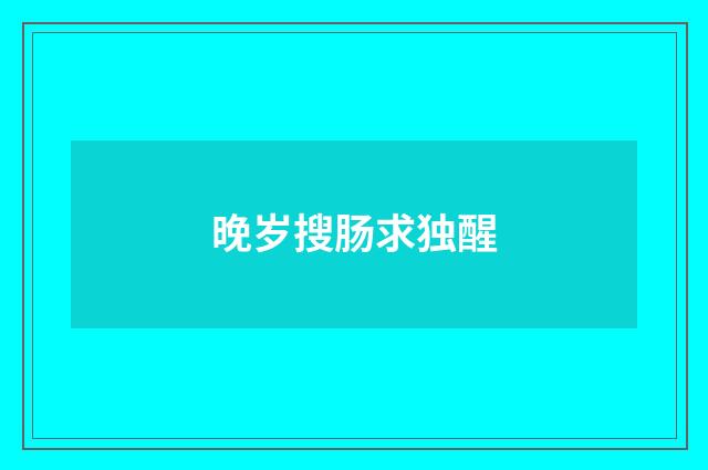 晚岁搜肠求独醒