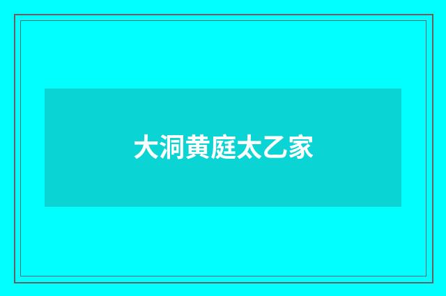 大洞黄庭太乙家
