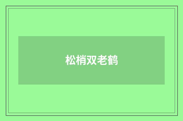 松梢双老鹤