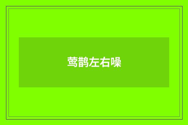 莺鹊左右噪