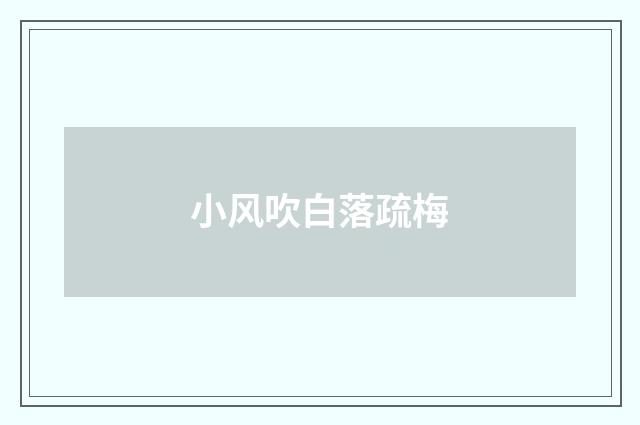 小风吹白落疏梅
