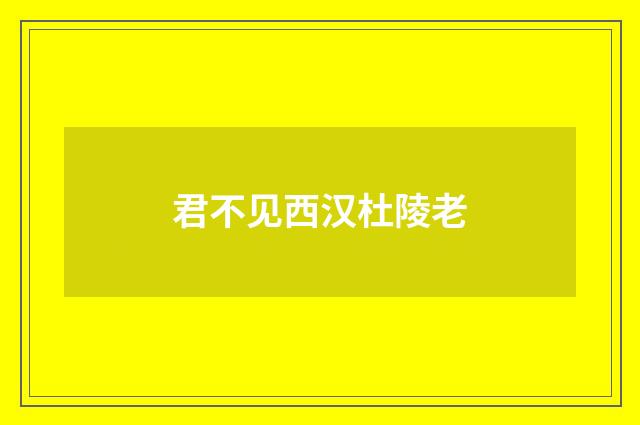 君不见西汉杜陵老