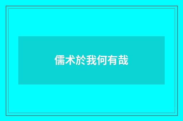 儒术於我何有哉