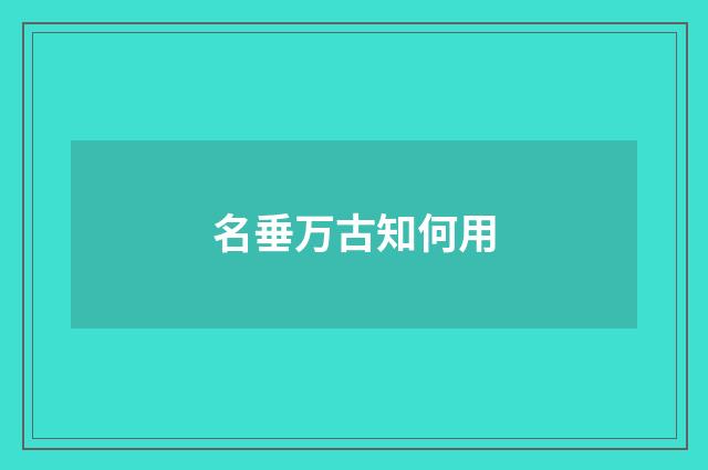 名垂万古知何用