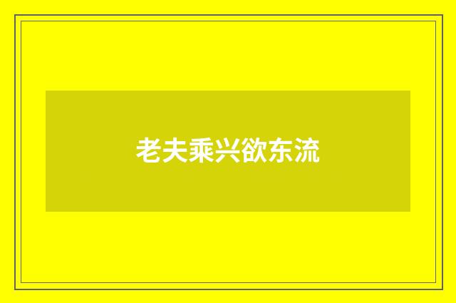 老夫乘兴欲东流