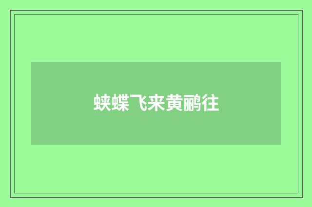蛱蝶飞来黄鹂往