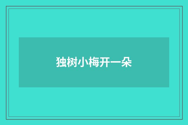 独树小梅开一朵