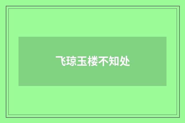 飞琼玉楼不知处