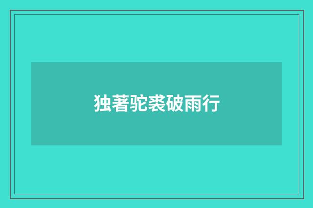 独著驼裘破雨行