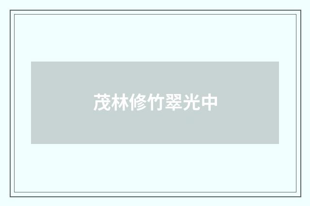 茂林修竹翠光中