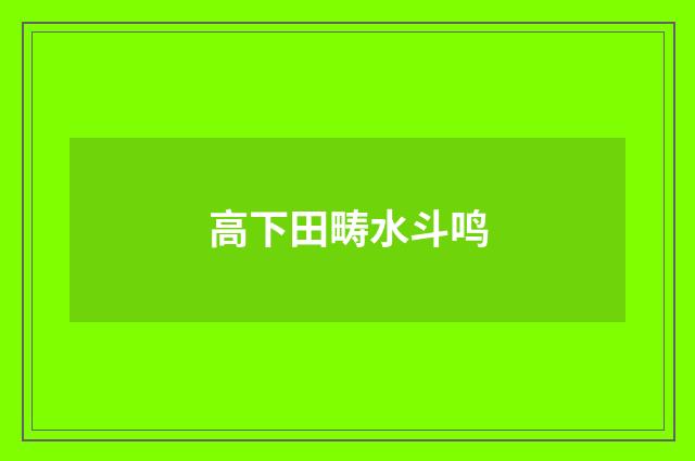 高下田畴水斗鸣
