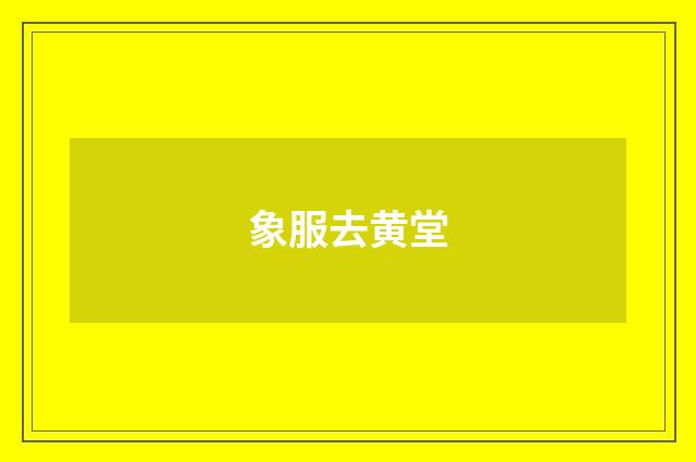 象服去黄堂