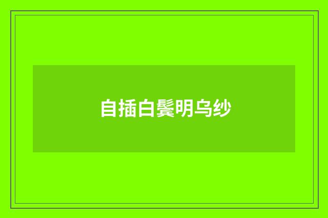 自插白鬓明乌纱