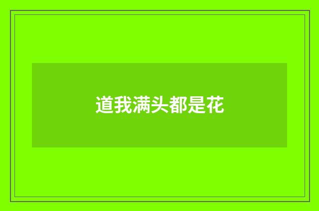 道我满头都是花