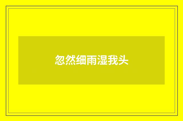 忽然细雨湿我头
