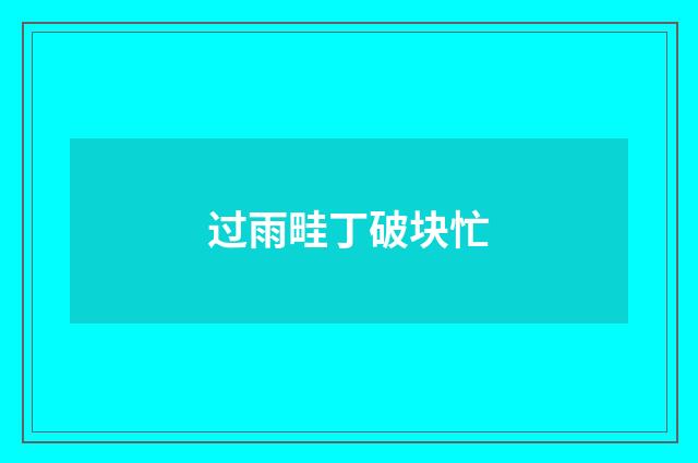 过雨畦丁破块忙
