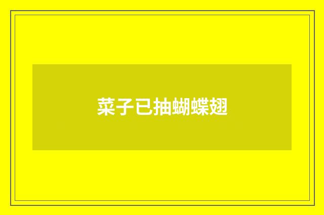 菜子已抽蝴蝶翅