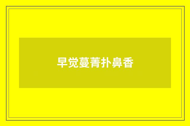 早觉蔓菁扑鼻香