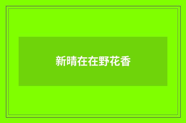 新晴在在野花香