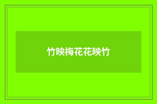 竹映梅花花映竹