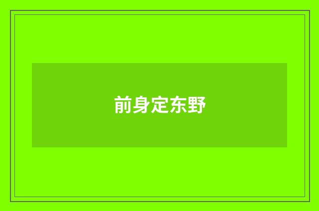 前身定东野