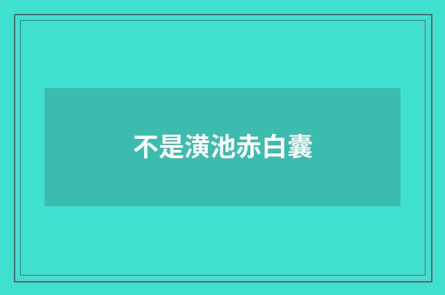 不是潢池赤白囊