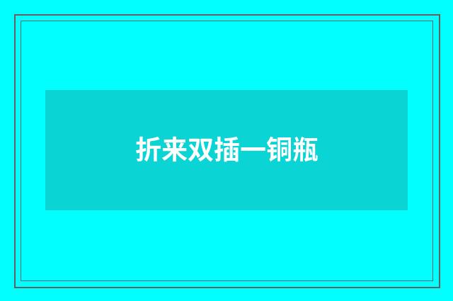 折来双插一铜瓶