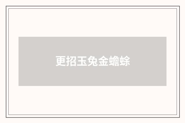 更招玉兔金蟾蜍