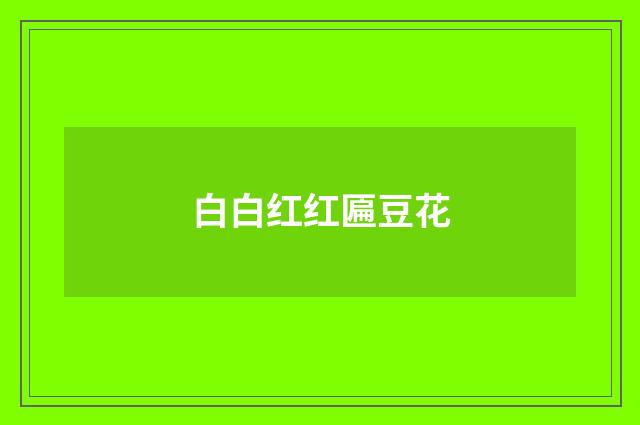 白白红红匾豆花