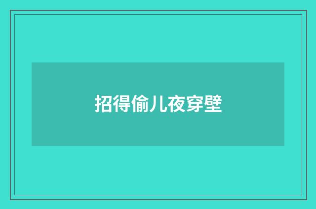 招得偷儿夜穿壁