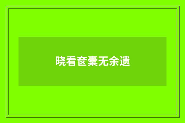 晓看奁橐无余遗