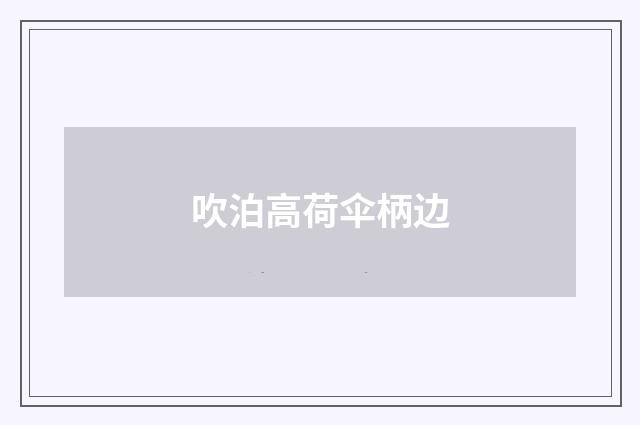 吹泊高荷伞柄边