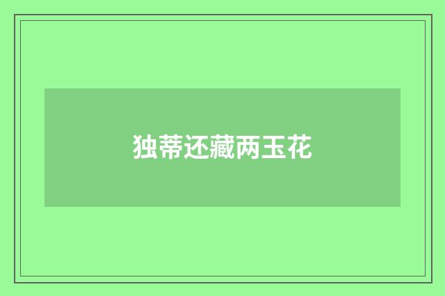 独蒂还藏两玉花