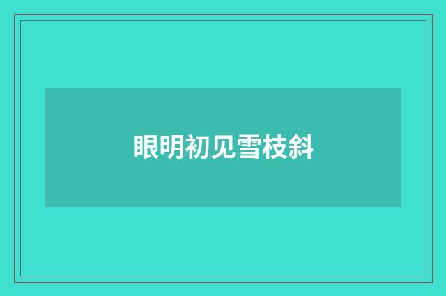 眼明初见雪枝斜