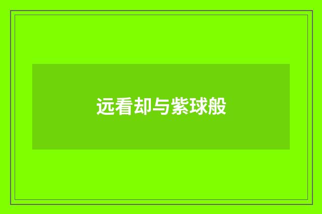 远看却与紫球般