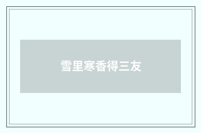 雪里寒香得三友