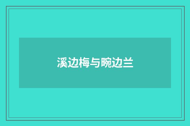 溪边梅与畹边兰