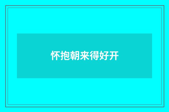 怀抱朝来得好开