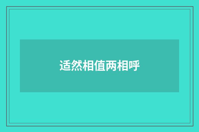 适然相值两相呼