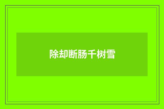除却断肠千树雪