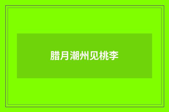 腊月潮州见桃李