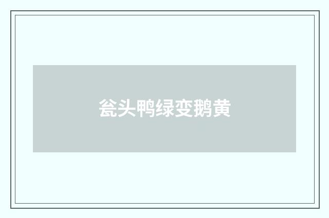 瓮头鸭绿变鹅黄