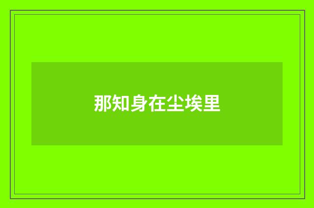 那知身在尘埃里