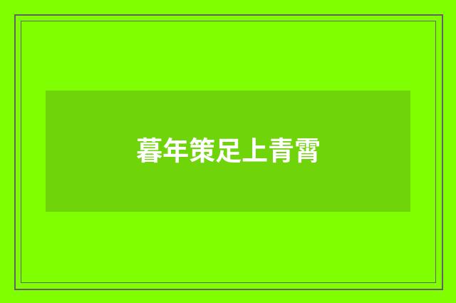 暮年策足上青霄