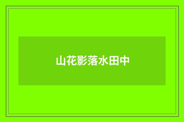山花影落水田中
