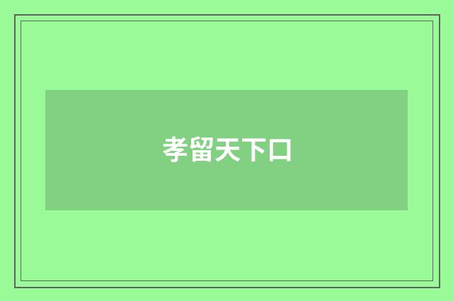 孝留天下口