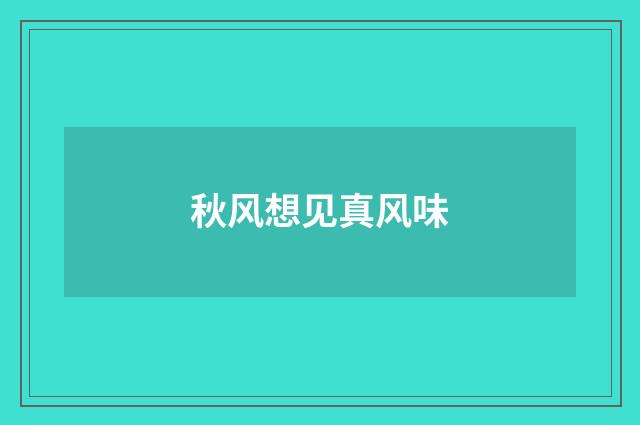秋风想见真风味
