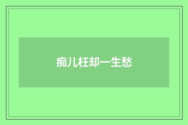 痴儿枉却一生愁