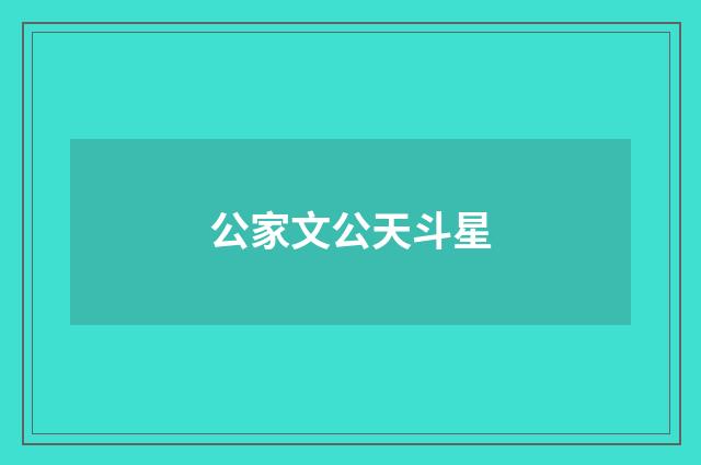 公家文公天斗星
