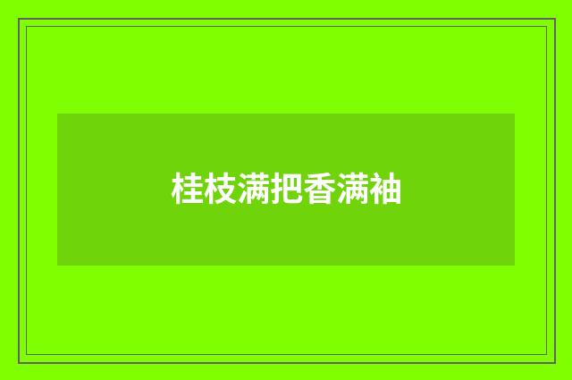 桂枝满把香满袖